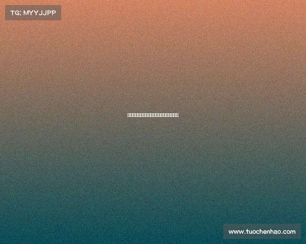 德甲精彩回顾：最震撼进球与战术分析全纪录