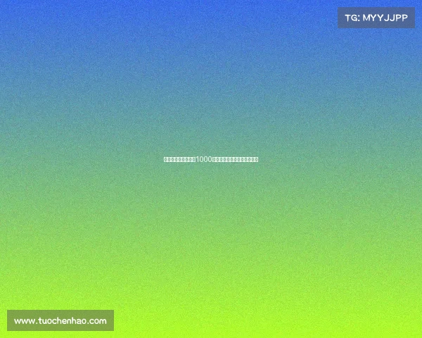 桑德兰接触扎卡报价1000万欧已开出三年合同邀请加盟